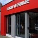CLINIQUE VÉTÉRINAIRE - BRUMATH